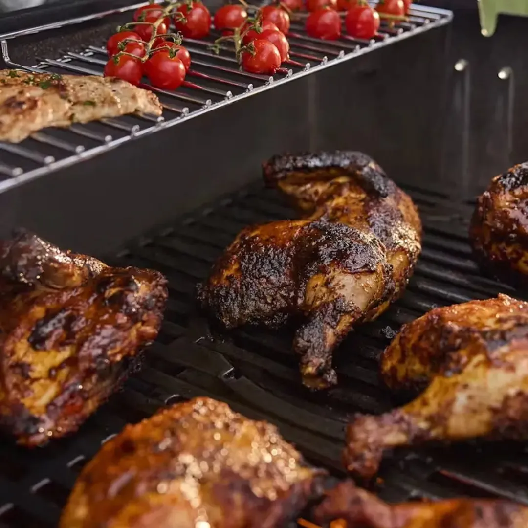 Weber Genesis E-335W