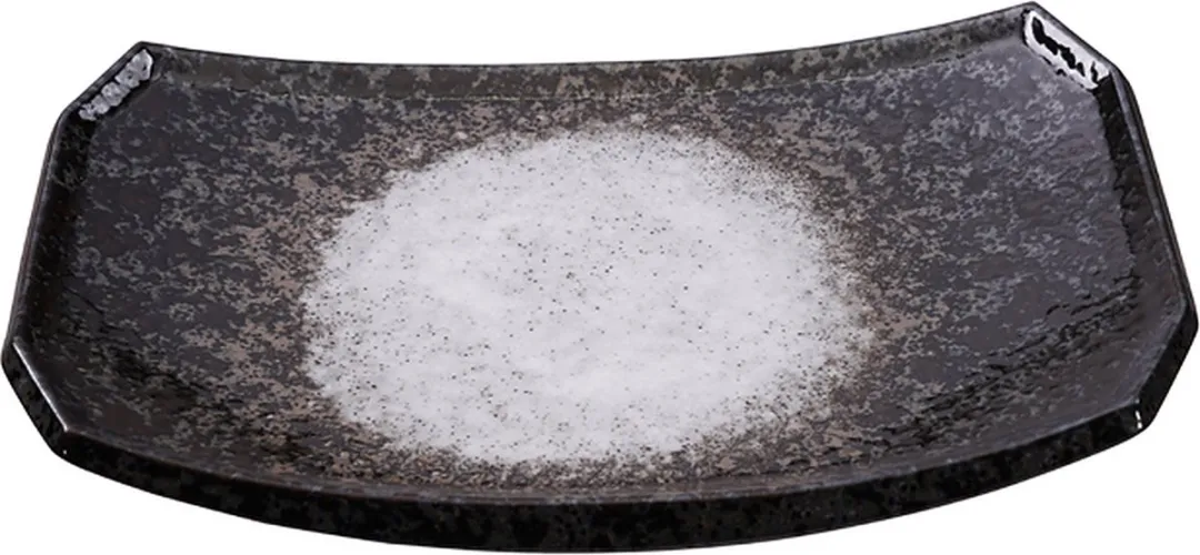 Tokyo Design Studio Minoyaki Bord 21,8x14,8cm