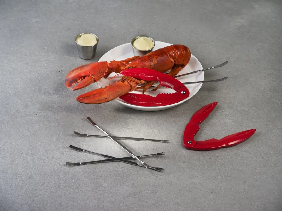 Cosy&Trendy Kreeft Bestekset 10-delig - 6 Personen - Zilverkleurig