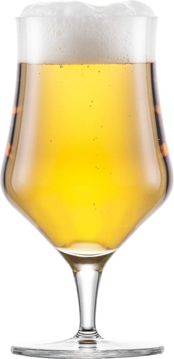 Schott Zwiesel Beer Basic Craft Bierglas 300ml - 4 Stuks