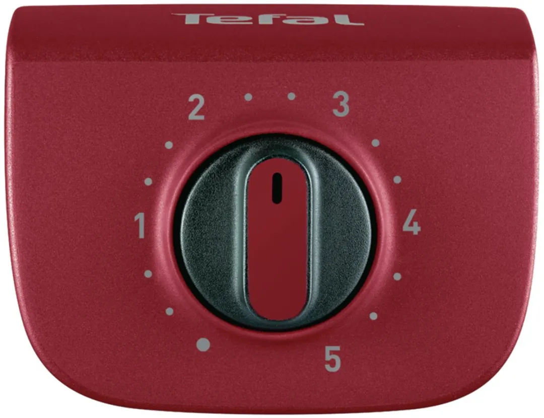 Tefal EasyGrill BG90F5 Elektrische Barbecue - 35x42 cm - 2300W - Met Onderstel - Voor Buiten en Binnen