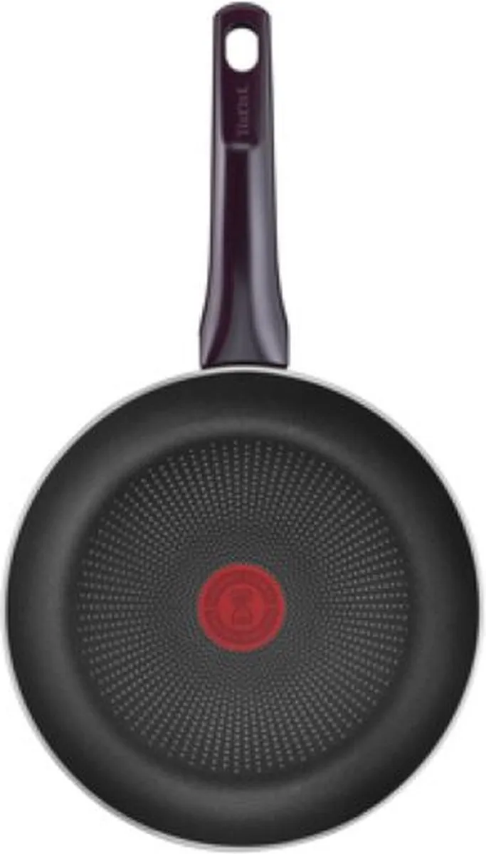 Tefal Resist Intense D5220483 Pan - Ø24cm - Zwart
