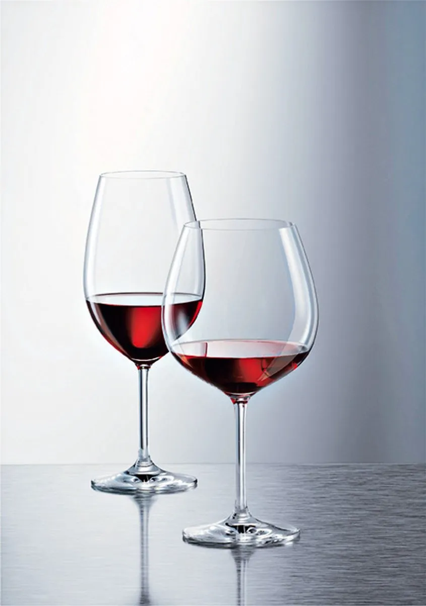 Schott Zwiesel Ivento Bordeaux Wijnglas 0.63L - Set van 6