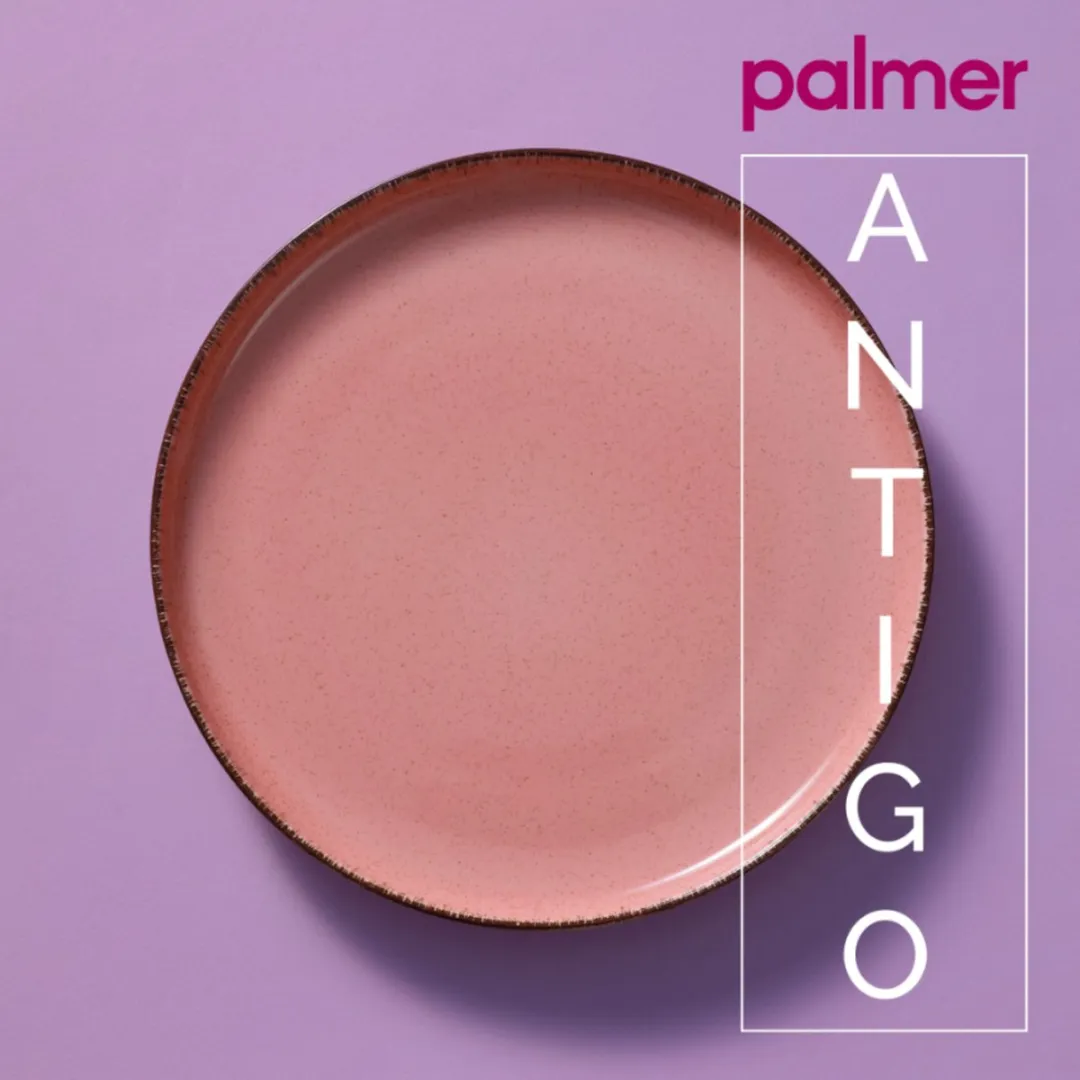 Palmer Antigo Serviesset 24-delig - 6 Personen - Roze Porselein - MPN 533830