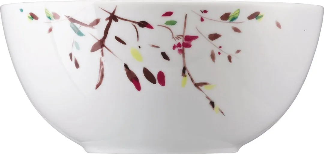 Rosenthal Arzberg Slakom 21cm