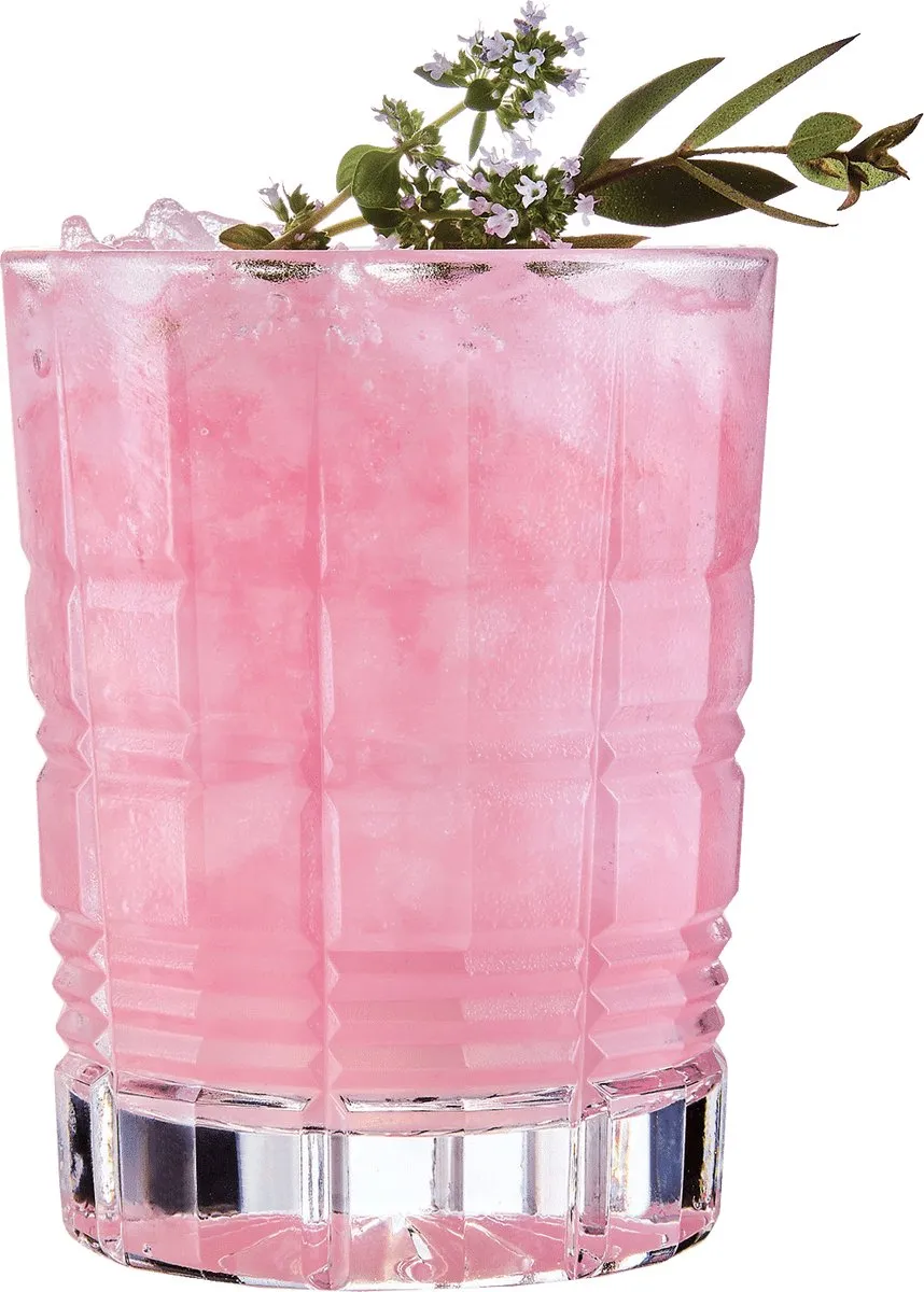 Arcoroc Whiskey Glas Brixton - 350 ml - 6 stuks