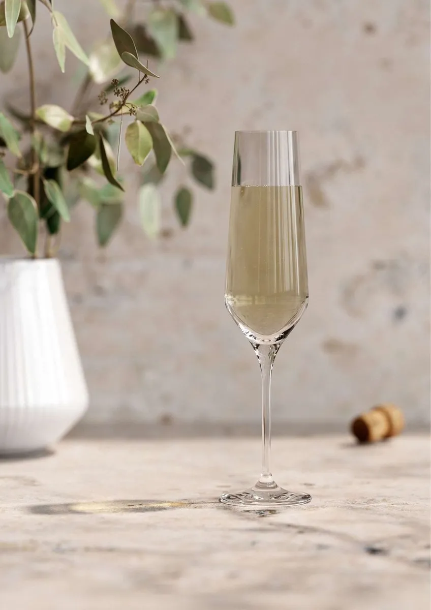 Eva Solo Legio Nova Champagneglazen 260ml - Set van 6