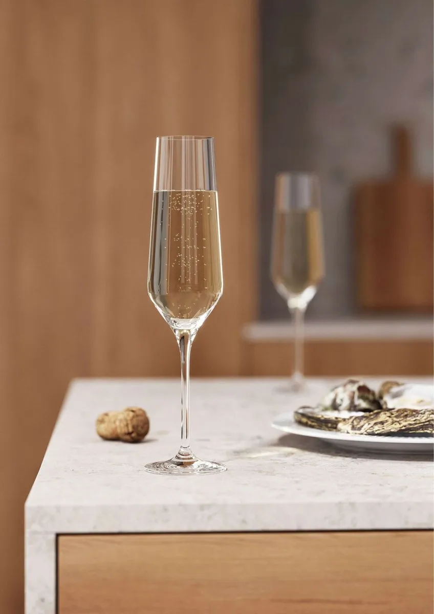 Eva Solo Legio Nova Champagneglazen 260ml - Set van 6