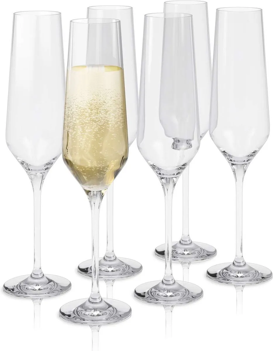Eva Solo Legio Nova Champagneglazen 260ml