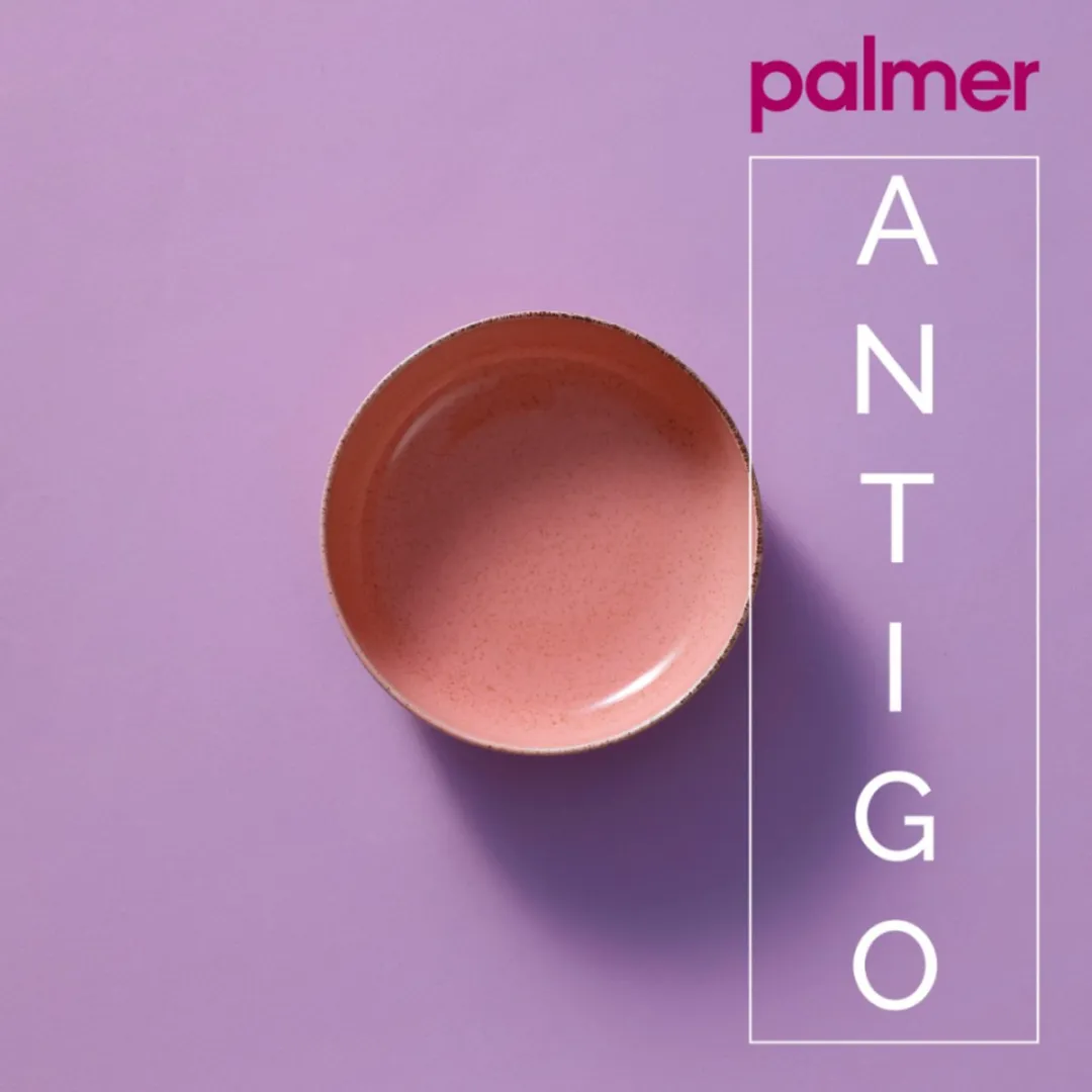 Palmer Antigo Schaal Kom 2 Stuks - 47cl - Ø15cm - Roze