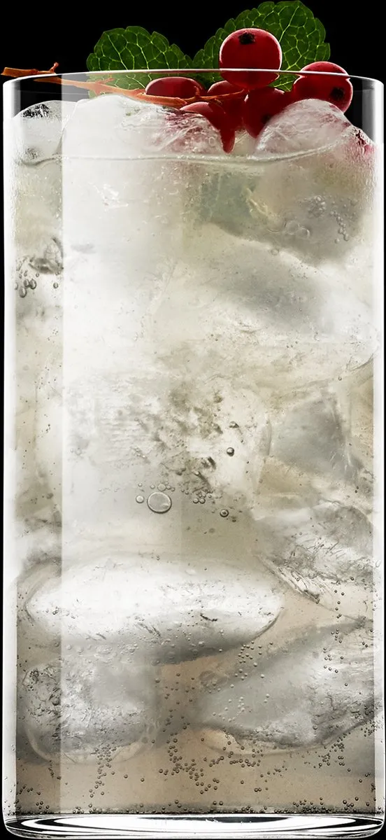 Luigi Bormioli Top Class Waterglas 37,5cl