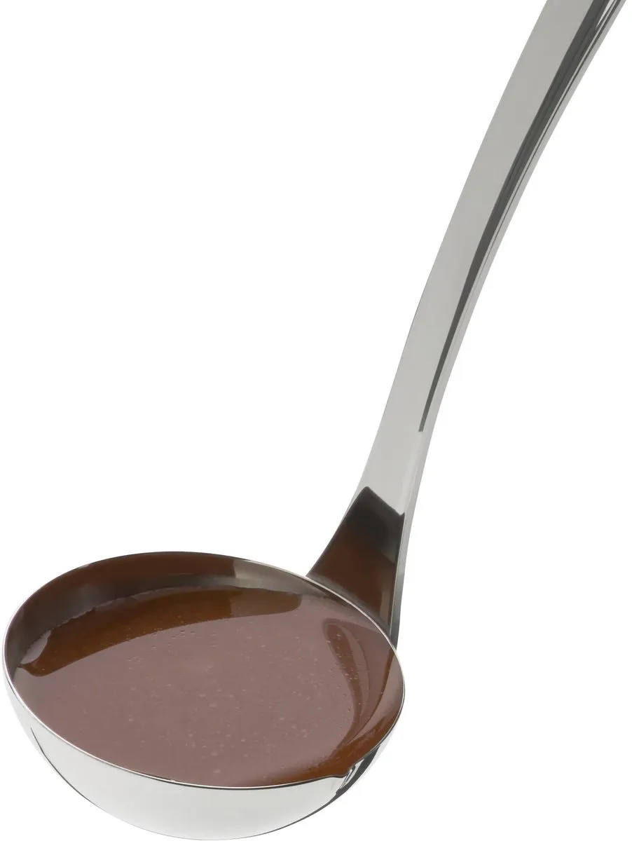 WMF Profi Plus Sauslepel RVS 30cm