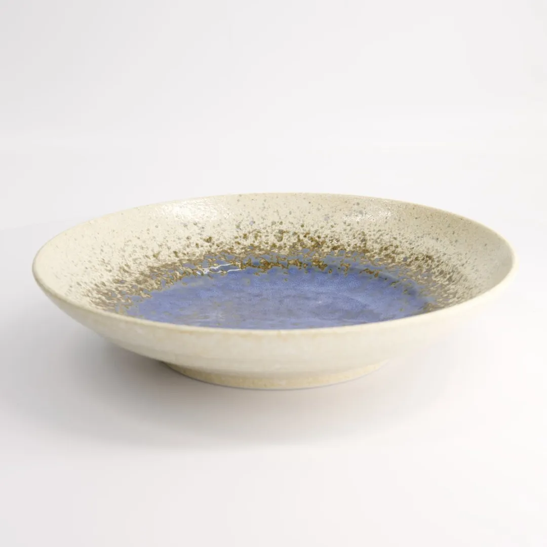 Tokyo Design Studio Minoyaki Bord - 28.5cm Wit