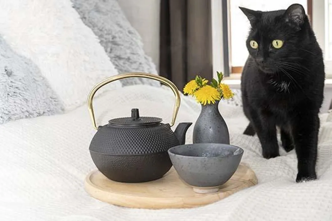 Cosy&Trendy Shinto Theepot 1.2L - Zwart - Koper Handvat