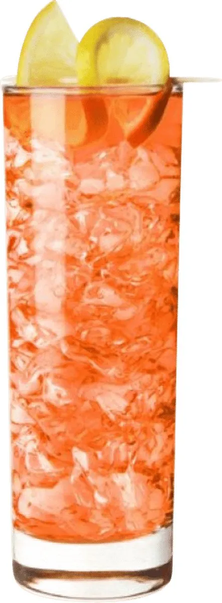 Arcoroc Islande Longdrinkglas 33cl - 6 Stuks