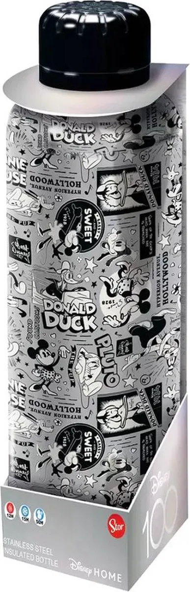 Disney Metalen Drinkfles 515ml - Grijs