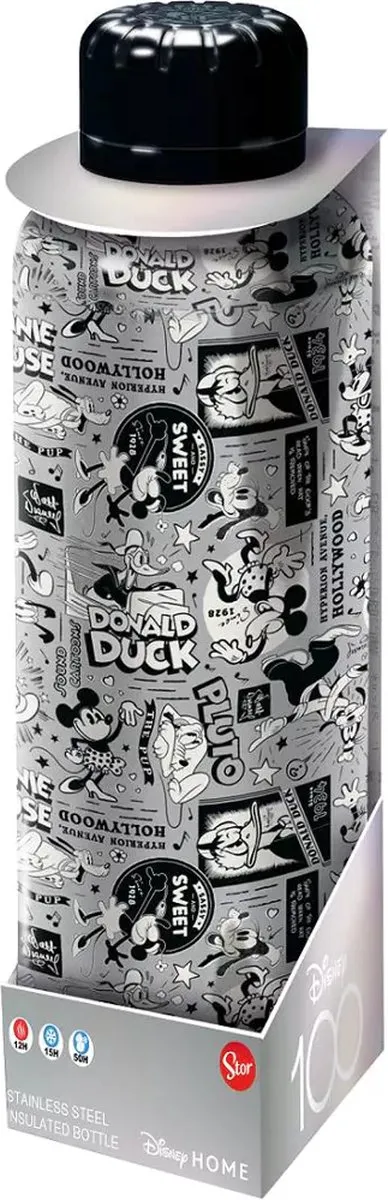 Disney Metalen Drinkfles 515ml - Grijs