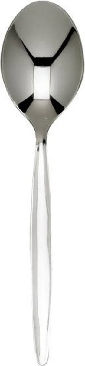 Cosy&Trendy Evy Tafellepel Set 6 - 1,7mm - Zilver