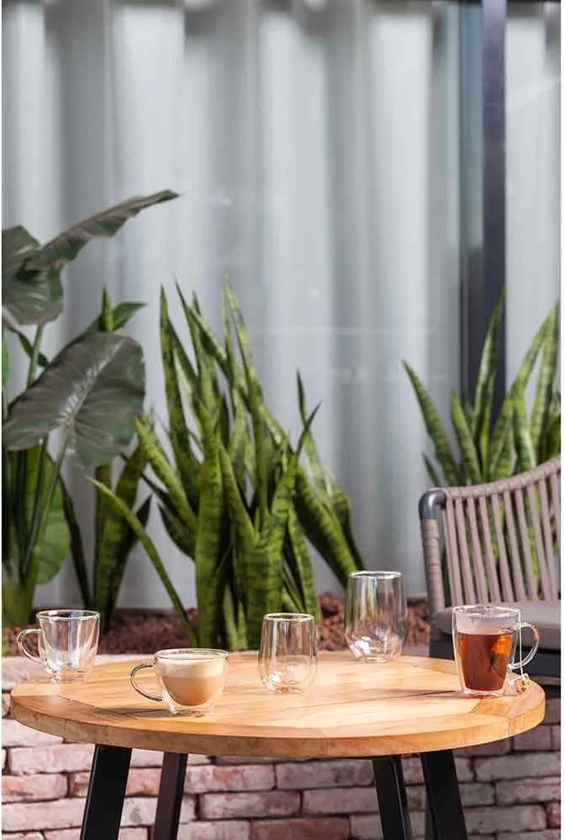 Cosy&Trendy Dubbelwandige Isolate Beker Glas 25cl - Set van 2