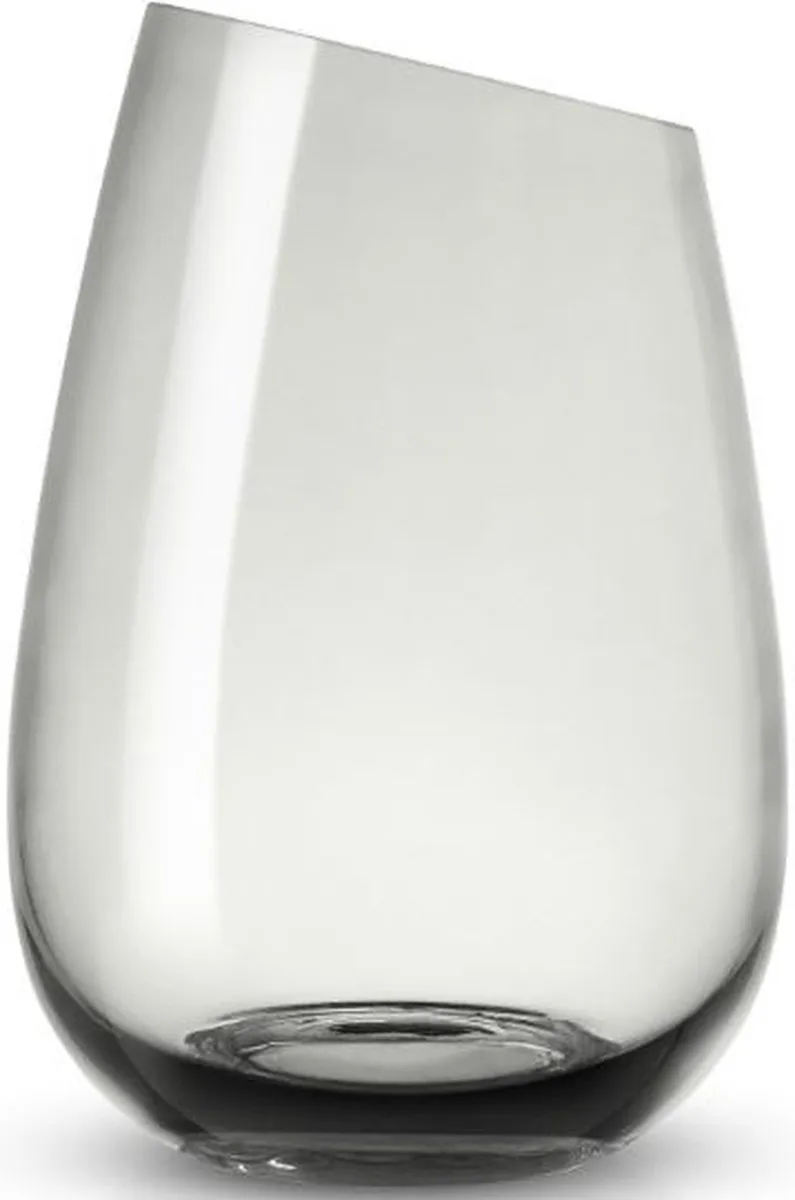 Eva Solo Glas 541044 - 480ml - Grijs