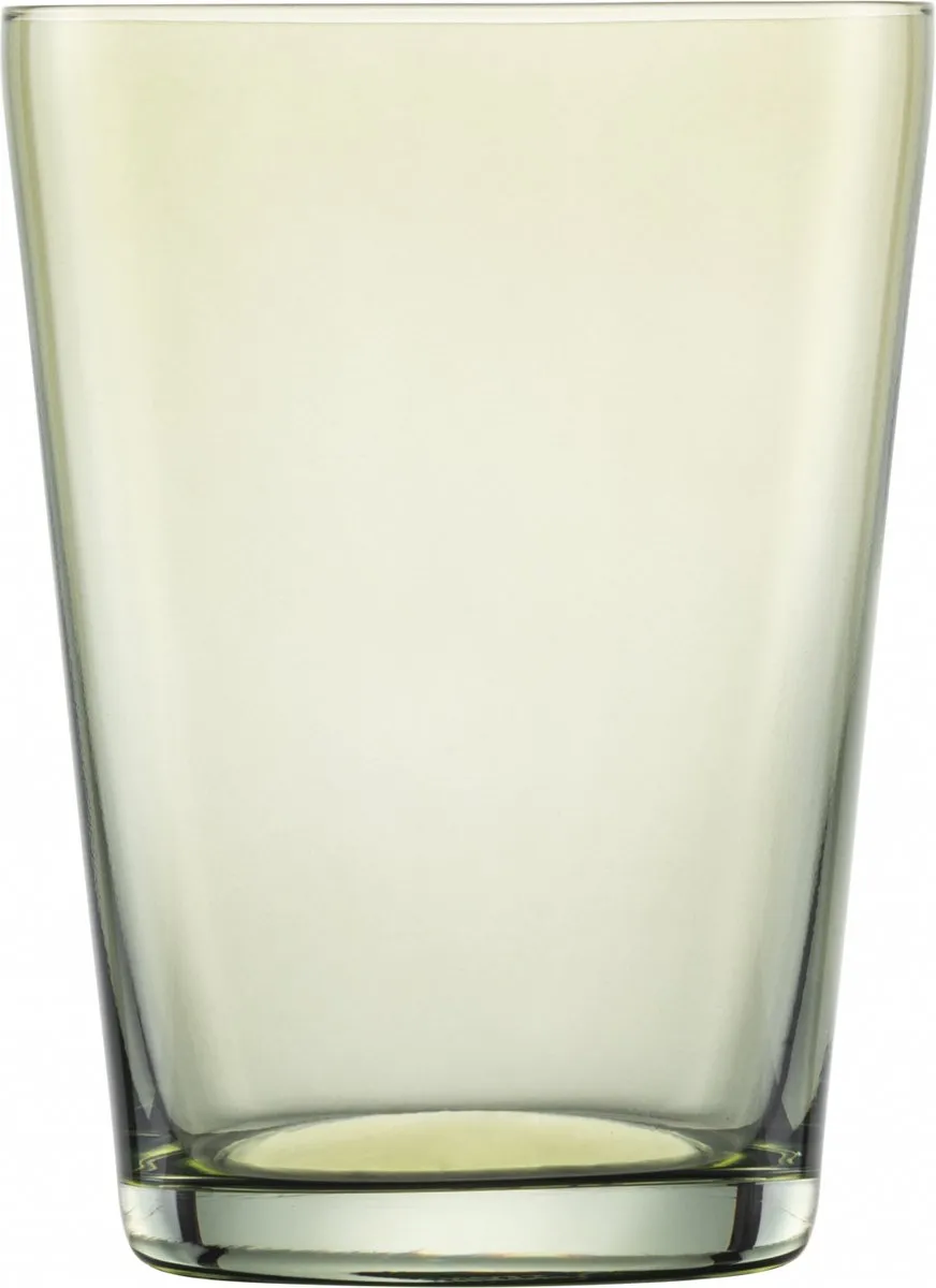 Zwiesel Glas Together Waterglas 79