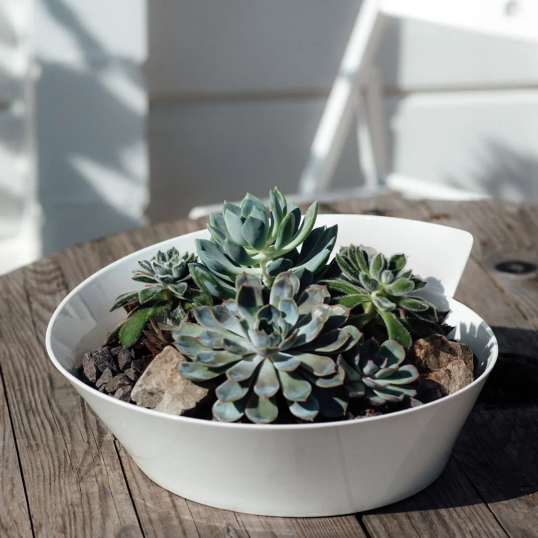 Villeroy & Boch NewWave Saladeschaal 4.5L - Wit