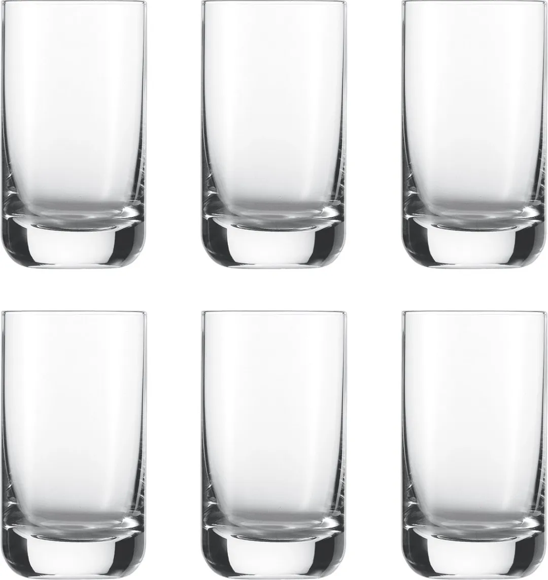 Schott Zwiesel Convention Waterglas 12 0.26L - 6 Stuks