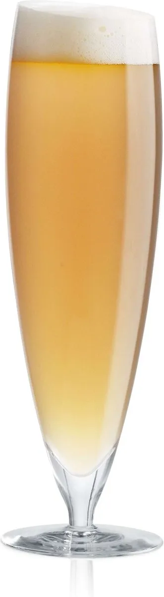 Eva Solo Glas Bier 500ml