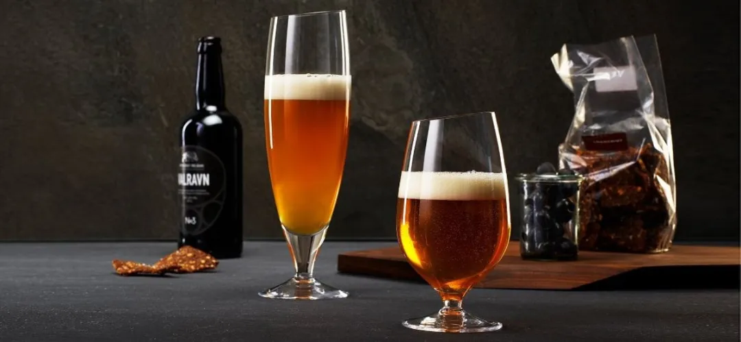 Eva Solo Glas Bier 500ml - Set van 2