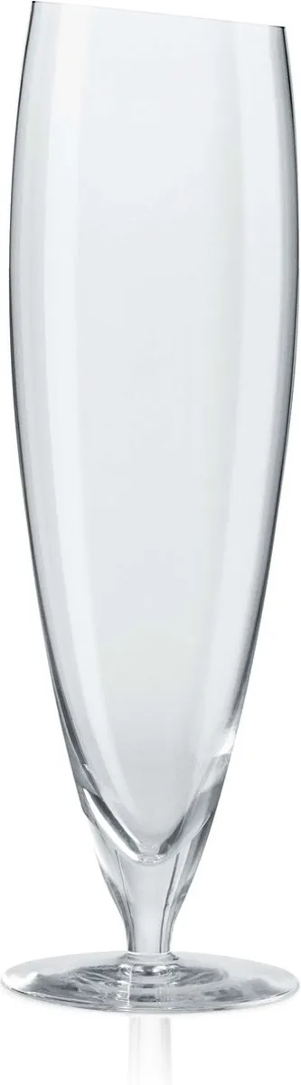 Eva Solo Glas Bier 500ml - Set van 2