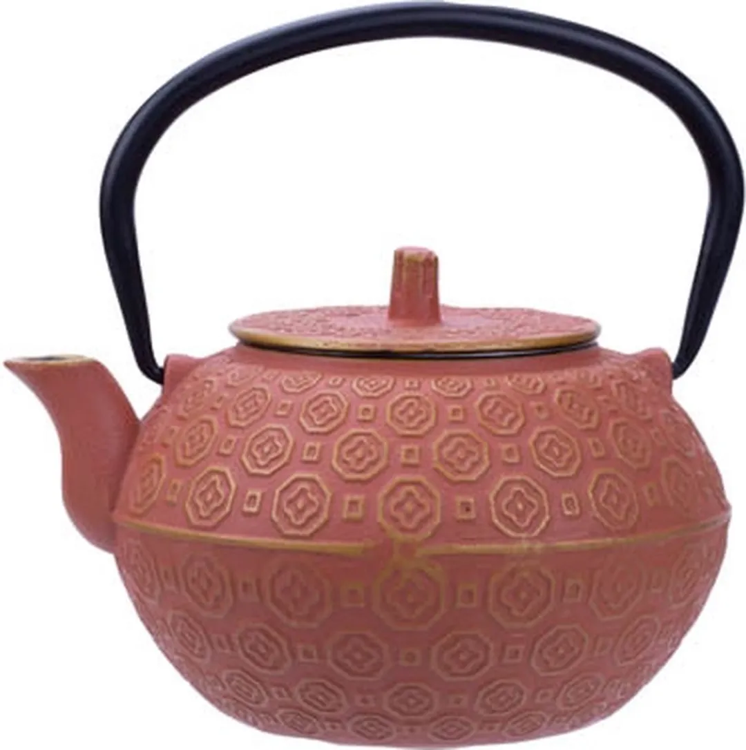 Cosy&Trendy Theepot Takayama 1,2L