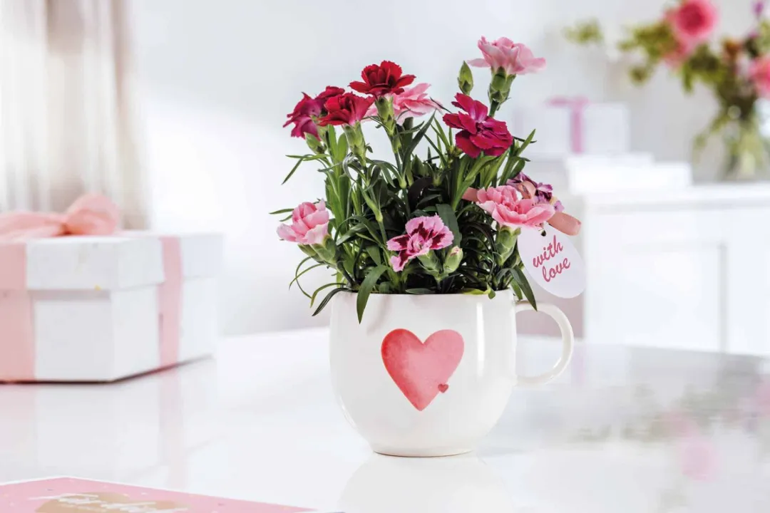 Villeroy & Boch Henkelbecher Sending Love With Love 290ml - wit-rood