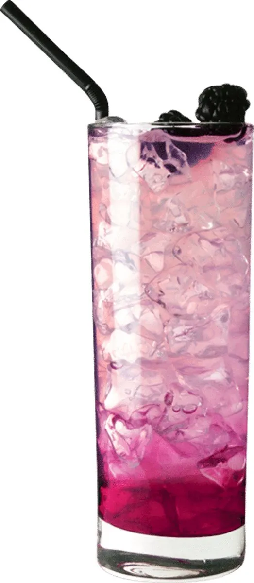 Arcoroc Islande Longdrinkglas 29cl - Set van 6