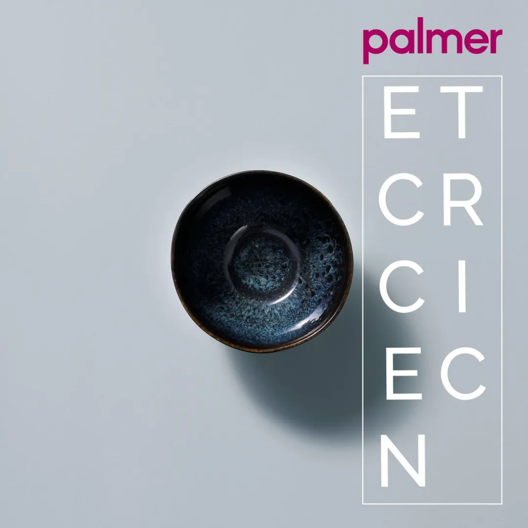 Palmer Eccentric Schaal 85cl - Blauw - 2 Stuks