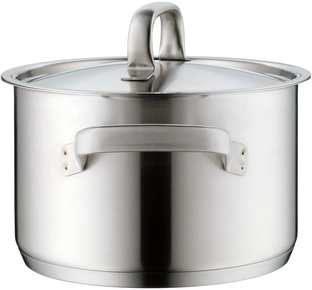 WMF Gourmet Plus Pannenset 5-delig - 24cm - Zilver