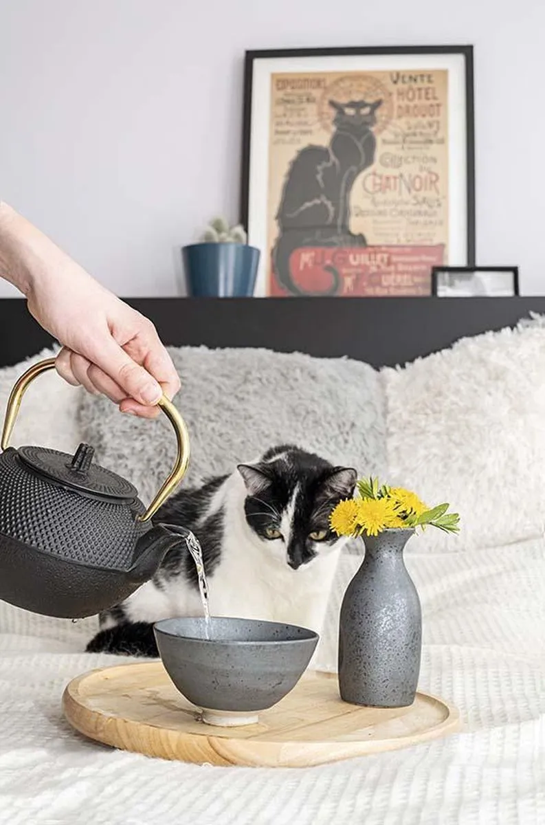 Cosy&Trendy Mikura Kannetje 17cl - Antraciet