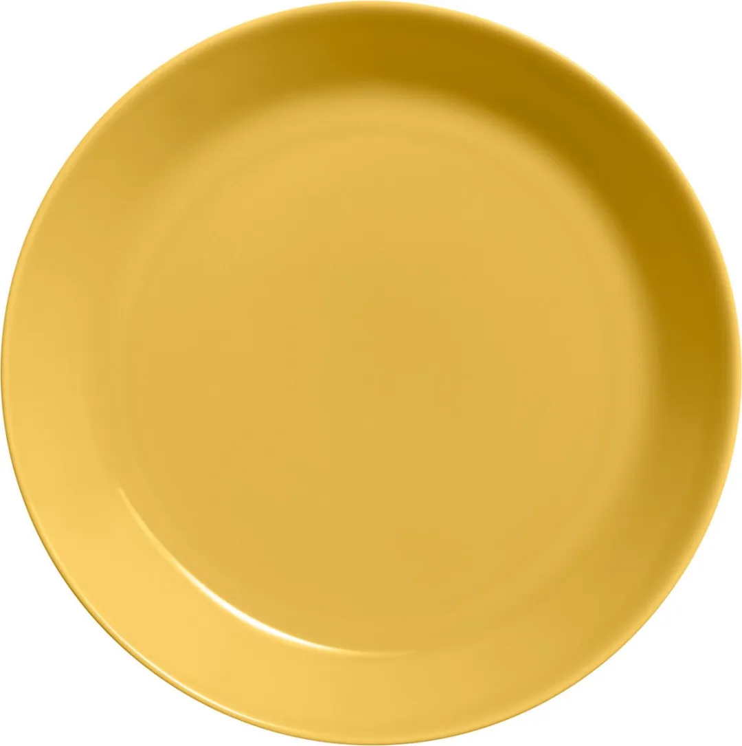 Iittala Teema Dinerbord