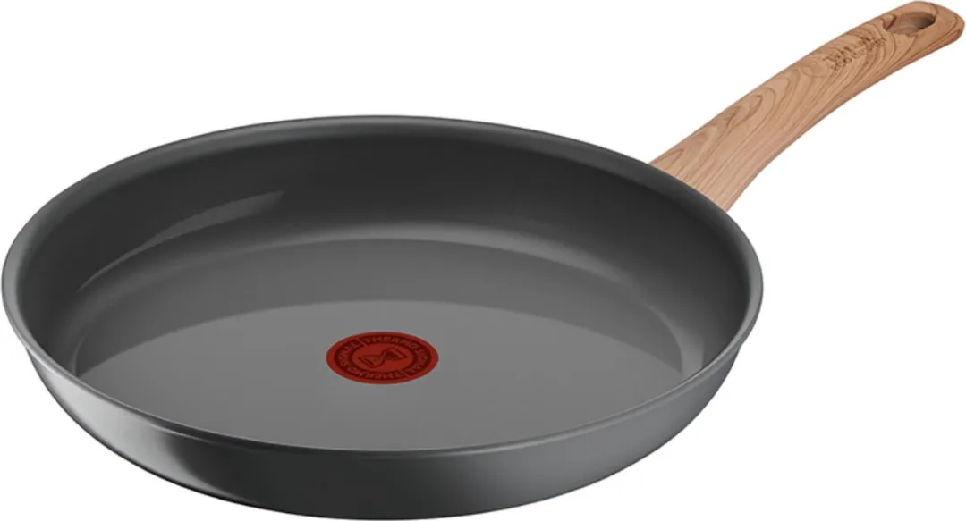 Tefal Renewal Koekenpan 32cm