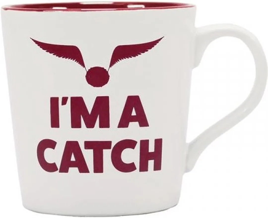 Harry Potter Quidditch Catch Beker