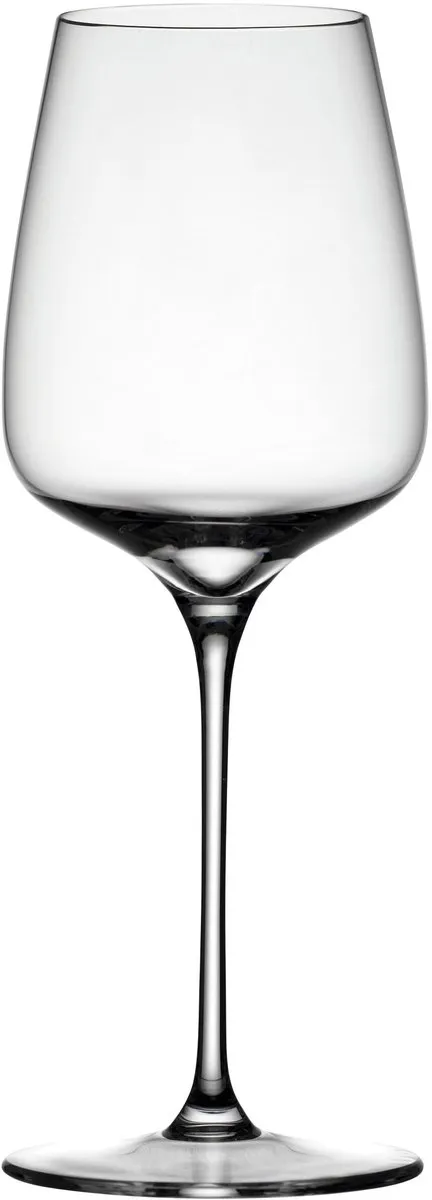 Spiegelau Willsberger Wijnglazen Set