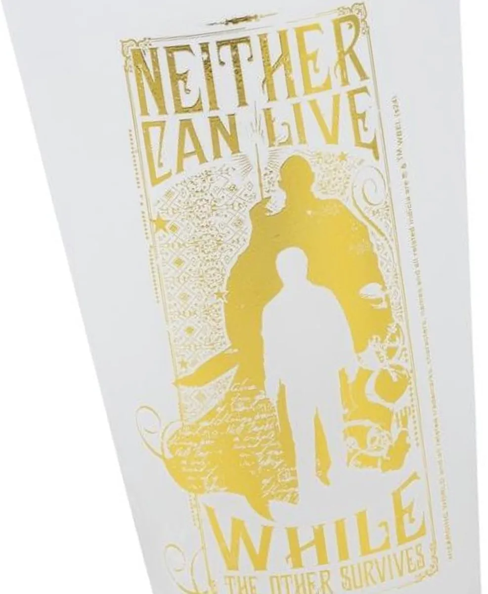Warner Bros Harry Potter Glazen 2x480ml - Gold
