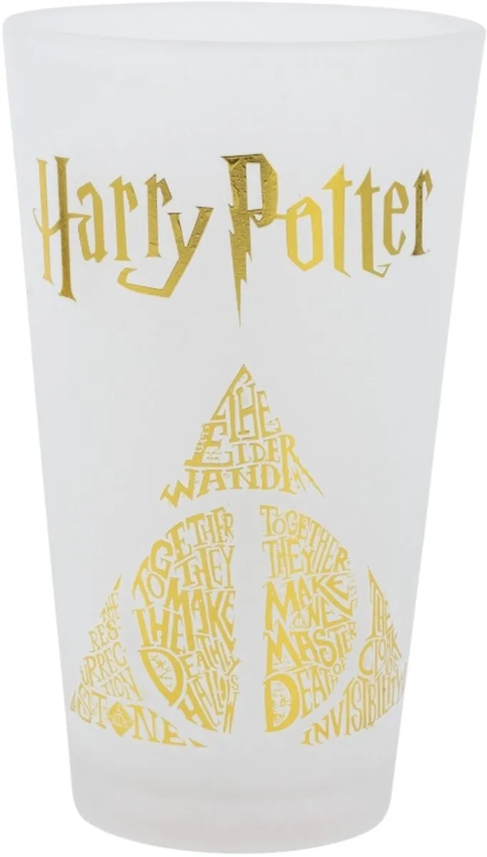 Warner Bros Harry Potter Glazen 2x480ml