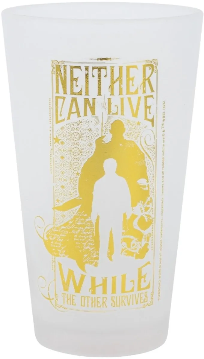 Warner Bros Harry Potter Glazen 2x480ml - Gold