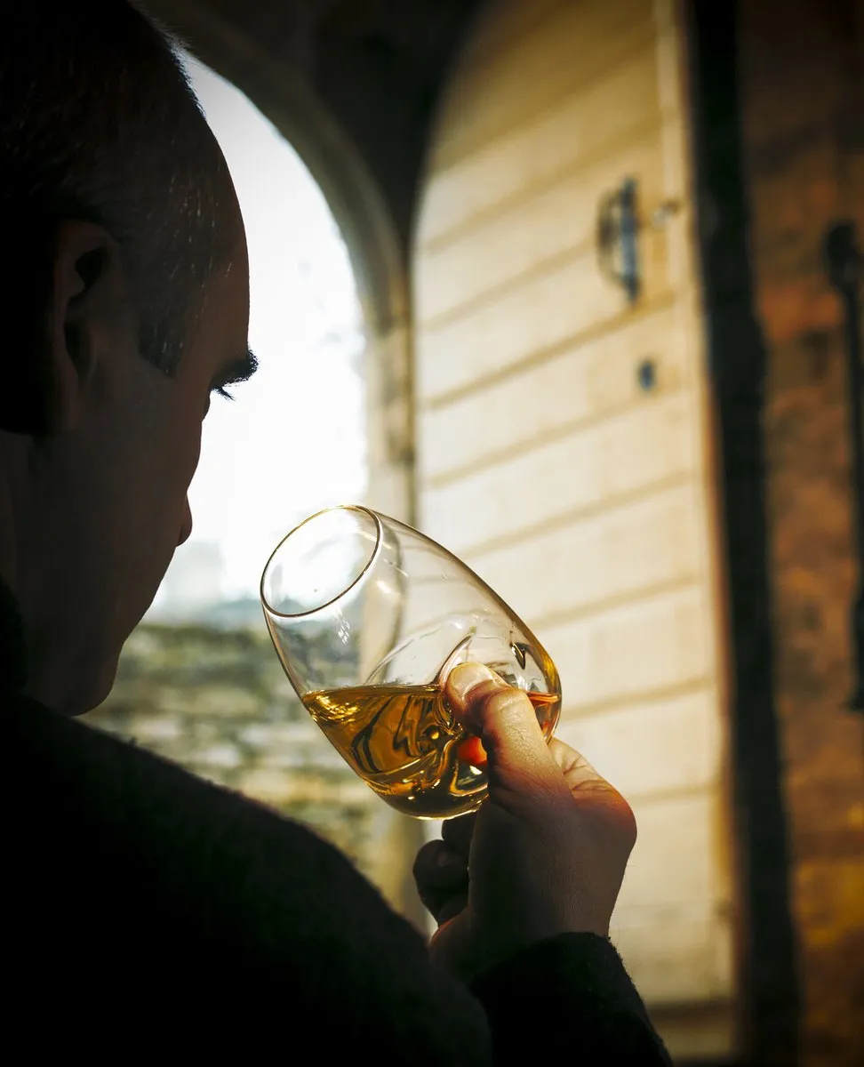 Peugeot Taster Degustatieglas 38cl - Transparant