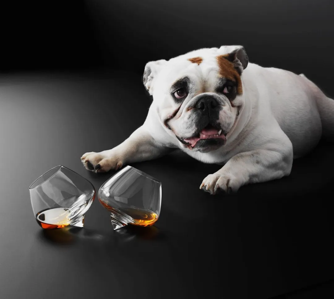 Normann Copenhagen Cognacglas 500ml - 2 Stuks