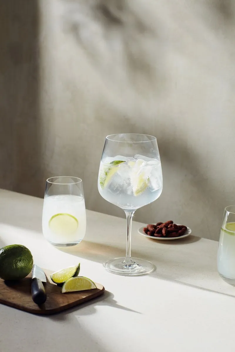 Schott Zwiesel Gin Tonic Glas 695ml - 2 Stuks