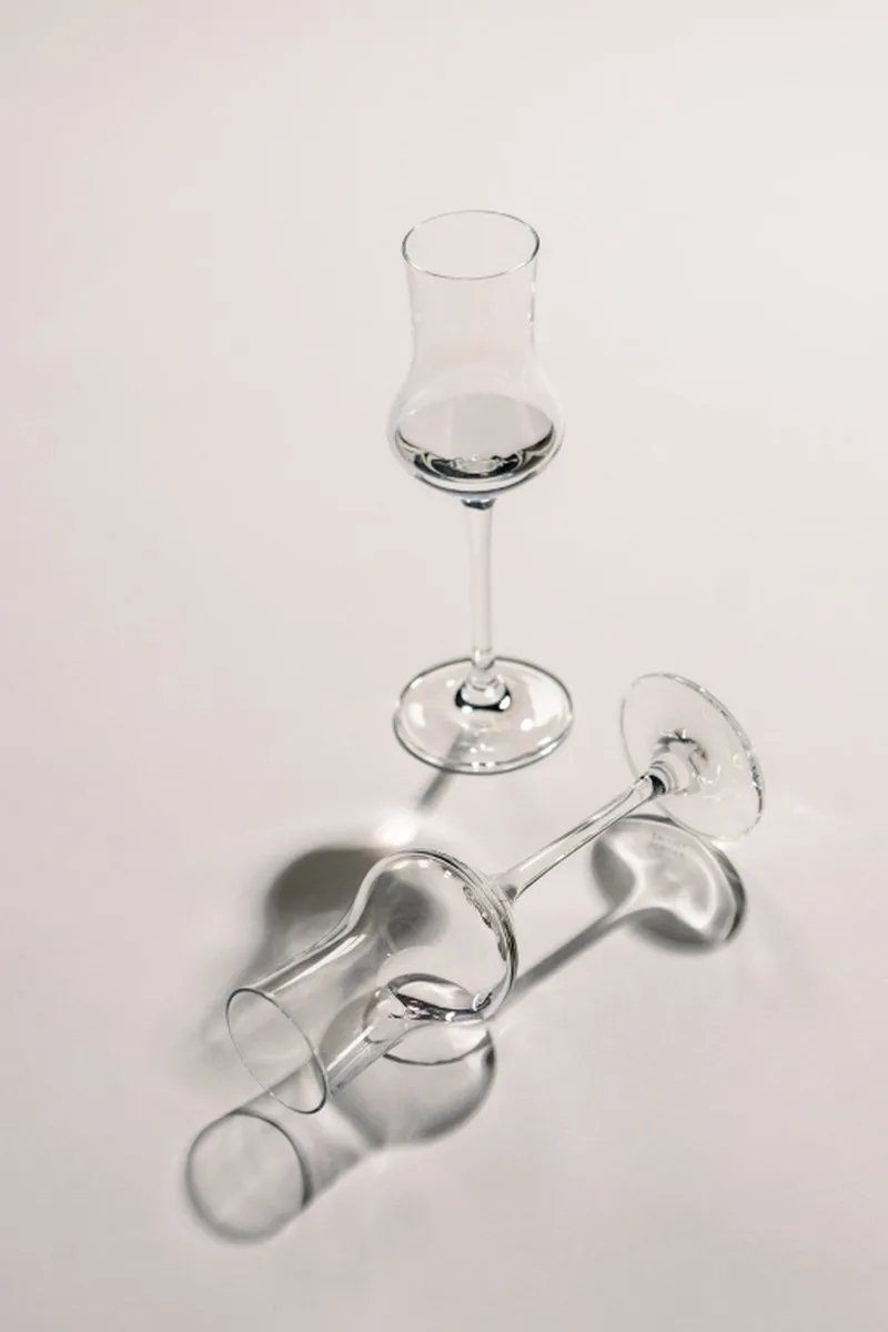 Schott Zwiesel Bar Special Grappaglas 95ml - 6 Stuks - afbeelding 6 van 6