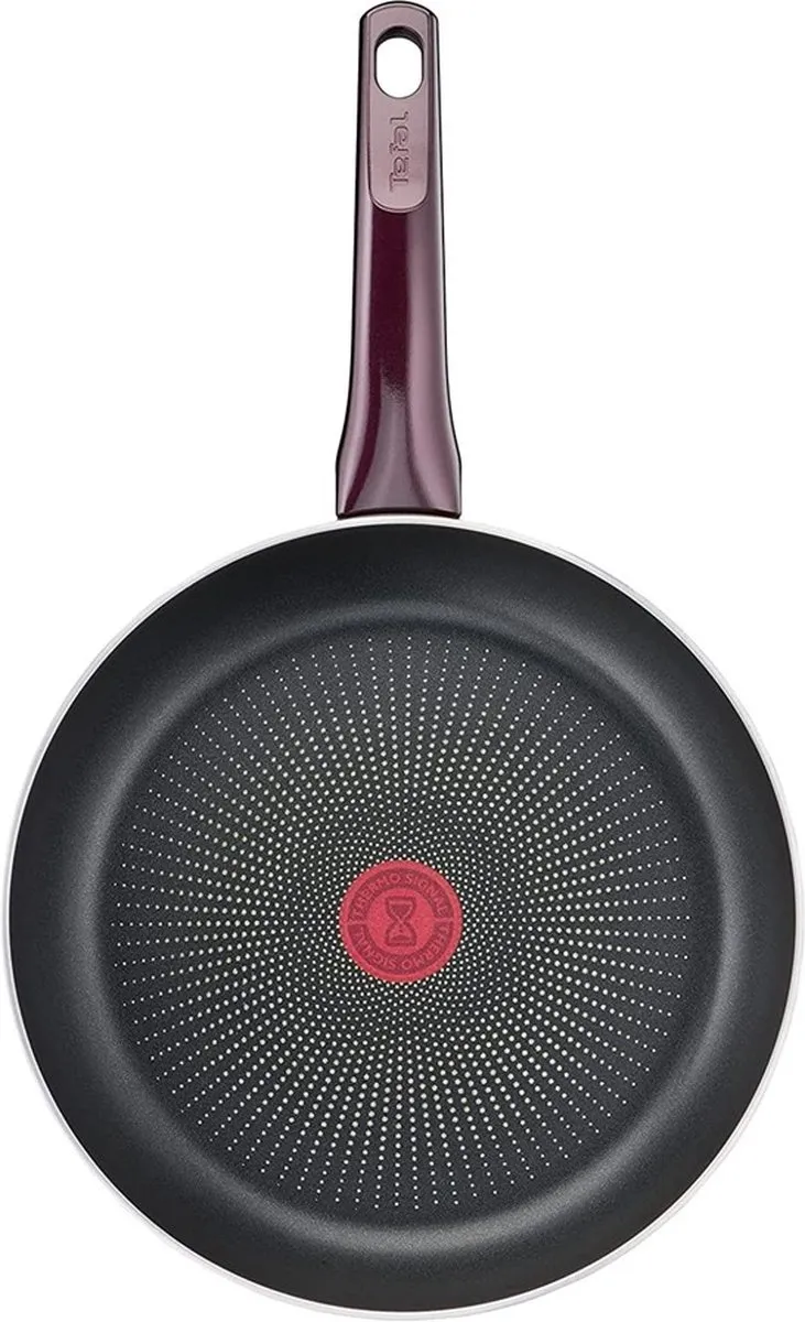 Tefal Resist Intense D5220283 Koekenpan 20cm - Zwart/Rood