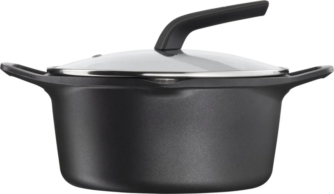 Tefal Robusto Braadpan 24cm