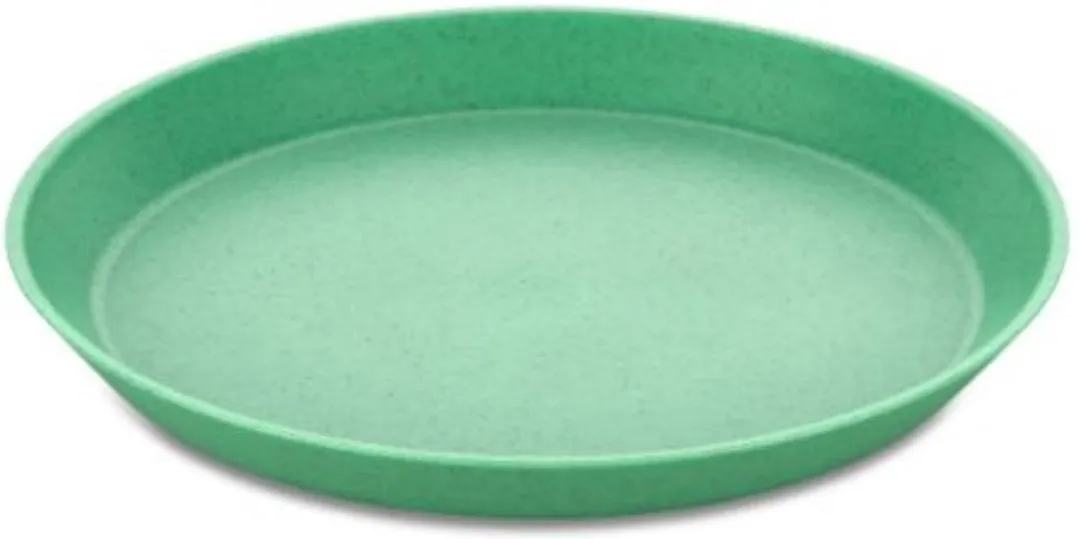 Koziol Connect Plate Organic Appel Groen 20.5cm